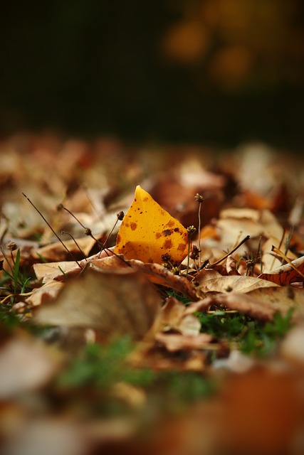 还关乎于新 还关乎于新