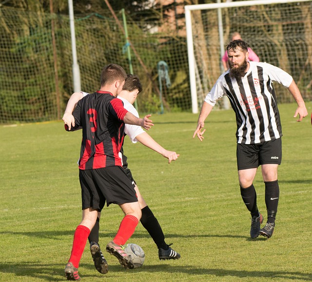 福法纳的组 福法纳的组