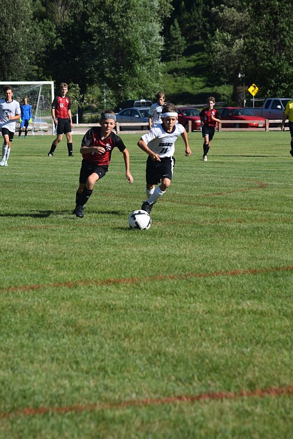 一原则的行 一原则的行