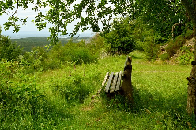 尤其是在中 尤其是在中