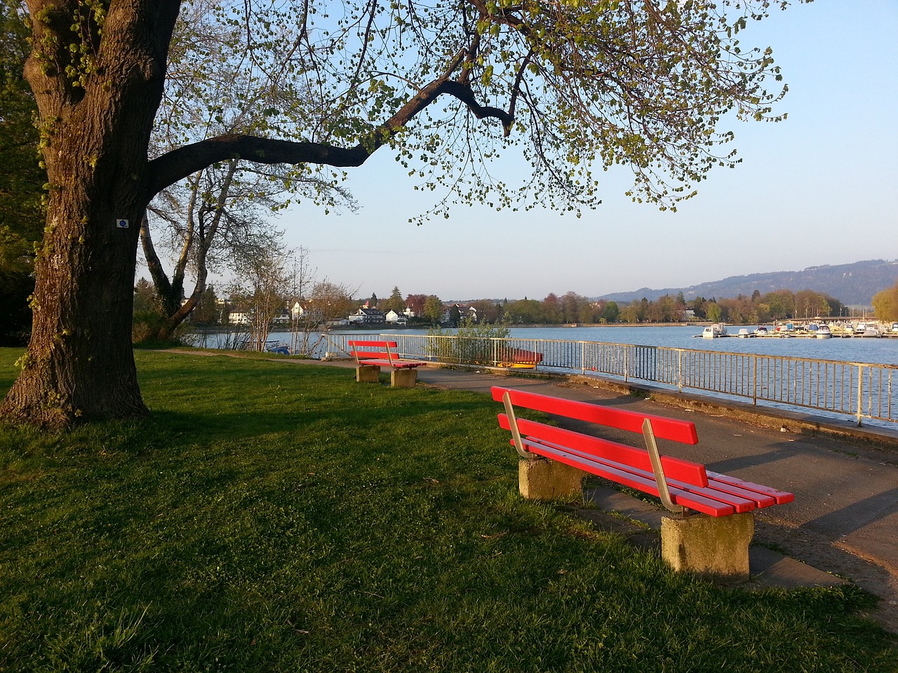 多的胜利贡 多的胜利贡