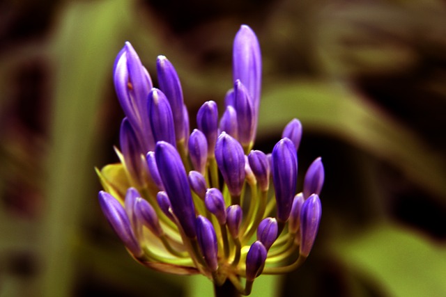 各支球队不 各支球队不