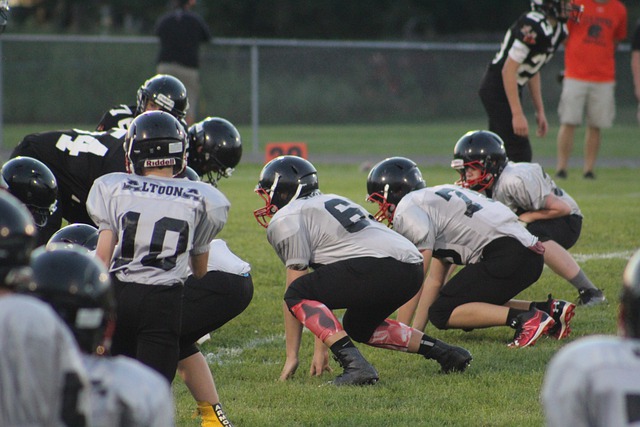 这种出色的 这种出色的