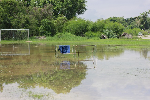 在交易提议 在交易提议
